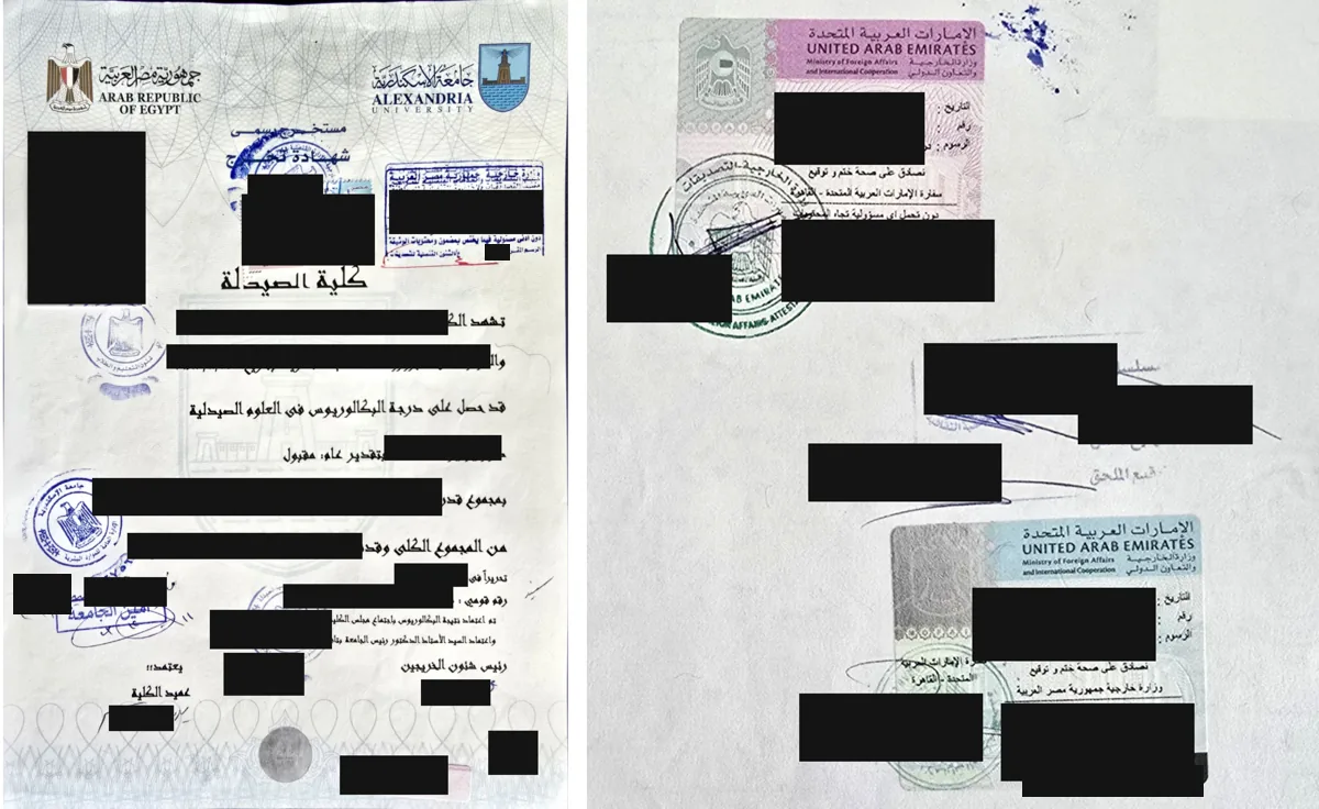صورة شهادة جامعية مصرية المستخدمة في صفحة السعر